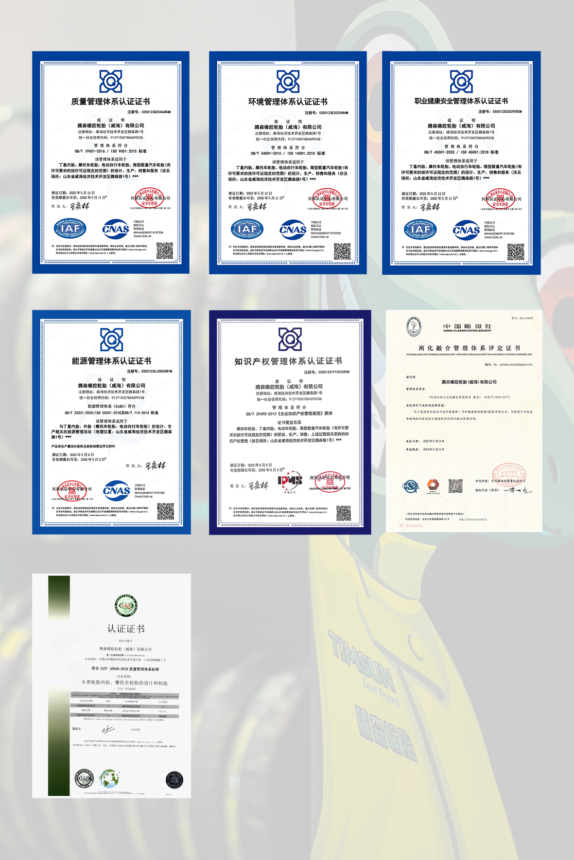 體系認(rèn)證2024.JPG